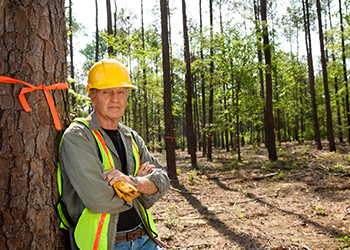 Langdale’s partnership with Imagine360 has delivered millions in savings and kept premiums affordable